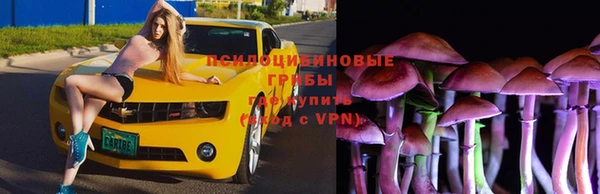 прущие крисы Волоколамск